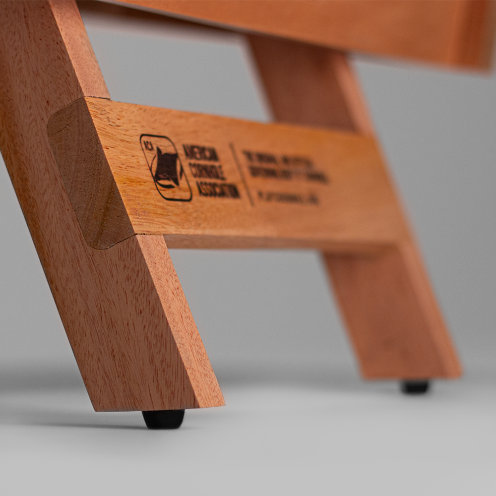 Black Hole Cornhole Airmail Box